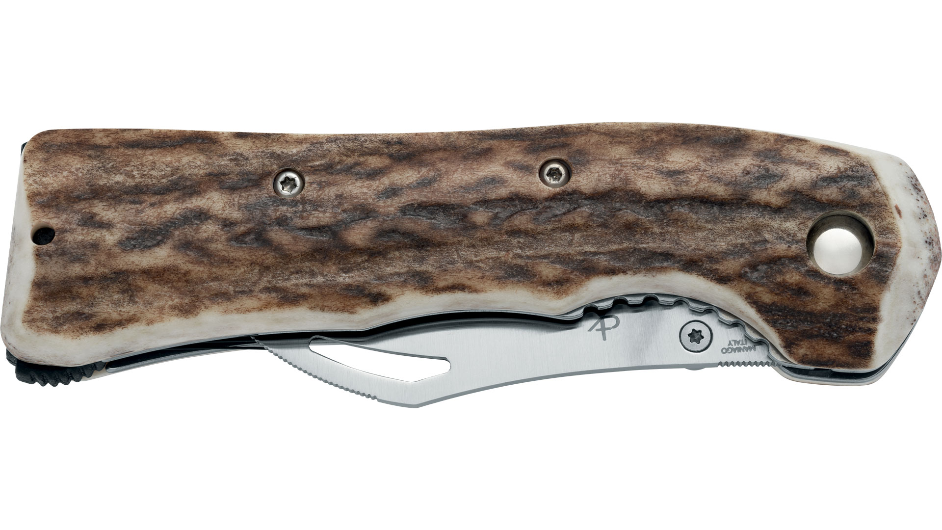 Nůž FOX Houbař, Nerez Sandvik 12C27, Paroh